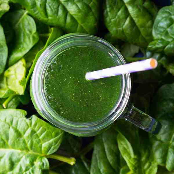 spinach bloomsdale seeds 2