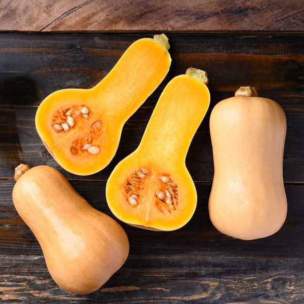 pumpkin waltham butternut seeds