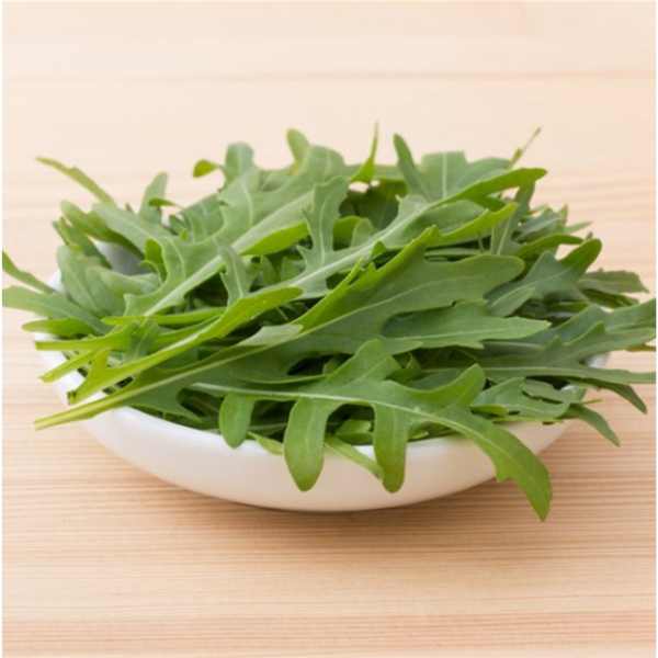 rocket wild seeds