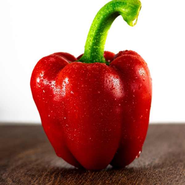 capsicum california wonder seeds