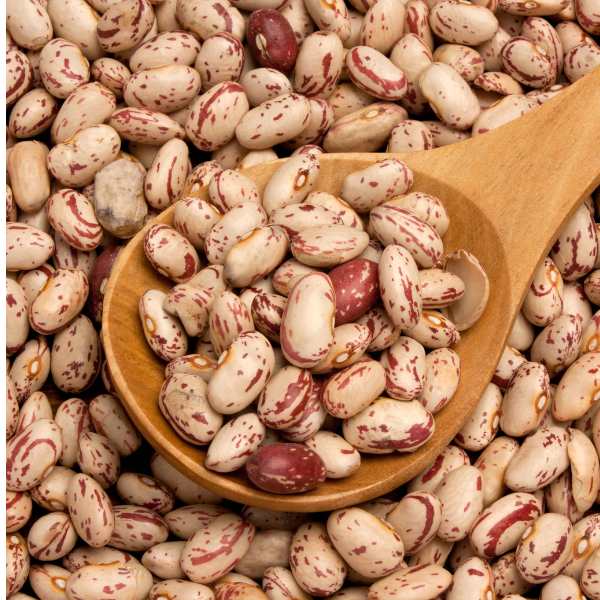 bean borlotto lingua di fuoco seed 3