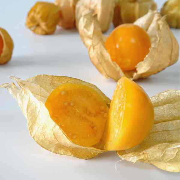cape gooseberry seeds 4