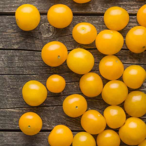 cherry tomato tommy toe yellow joy seeds