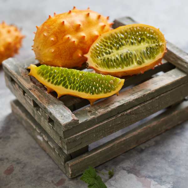 blog african horned cucumber seed